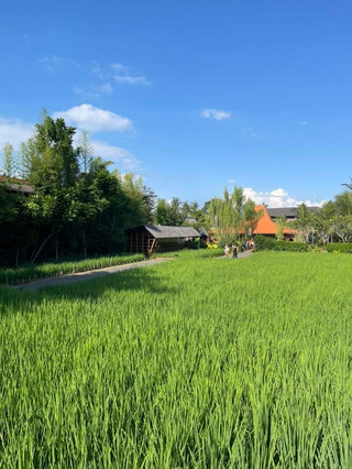 Ubud, Bali.