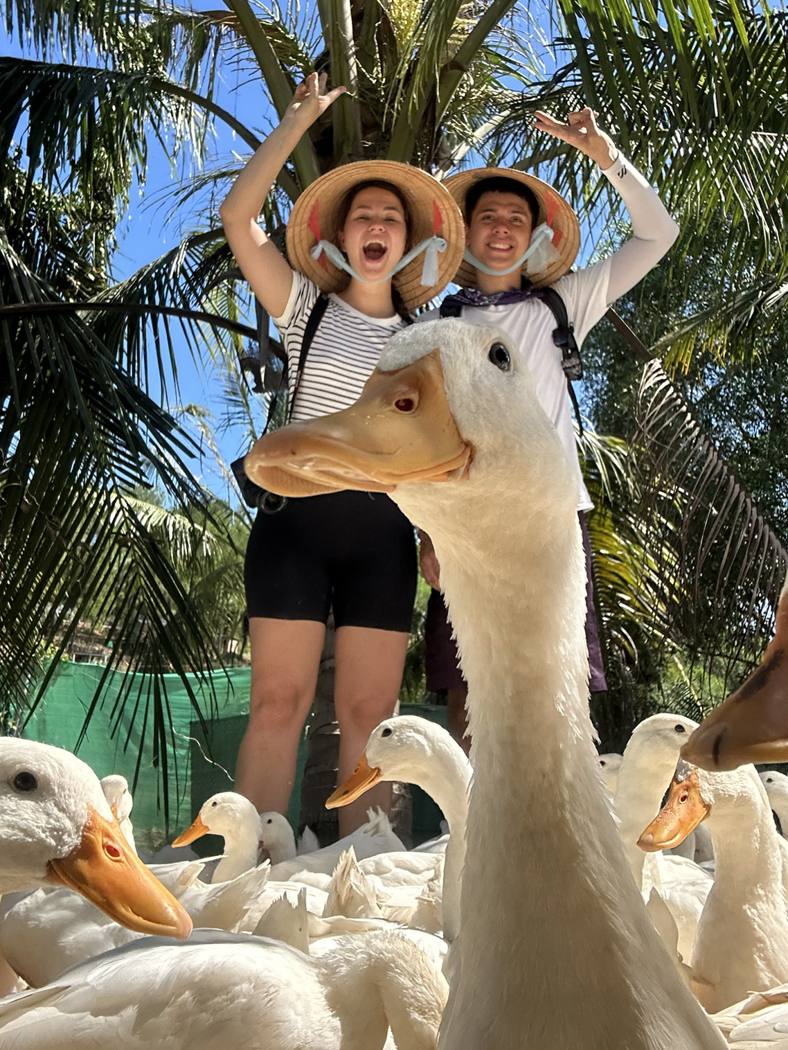 🦆 10만 VND로 최고의 식사를 즐겨보세요: 퐁냐 덕 스톱! 🇻🇳