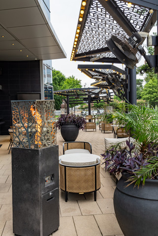 Patio Seating, Peacock Art, and a Multi-Course Meal at Amrina
