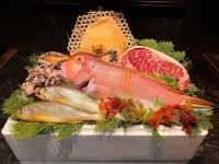 🥩【天后米芝蓮頂級鐵板燒】鑄·鐵板燒 Imai Teppanyaki ✨ 日本 A5 頂級和牛與活海鮮 × 奢華私密板前割烹體驗 🇯🇵🔥
