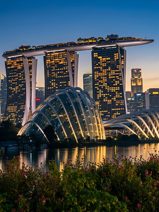 Singapore On a Budget: Breathtaking Parks for Free! 🇸🇬🌳