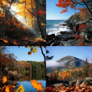 A Coastal Fall Experience