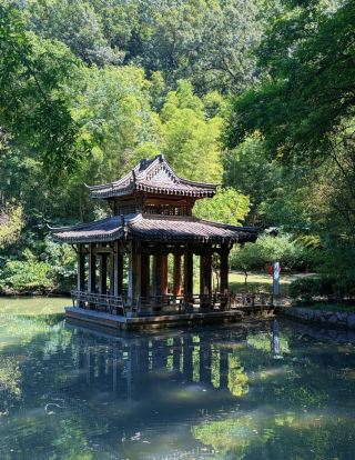🍶 A Taste of Langya Mountain | Chuzhou
