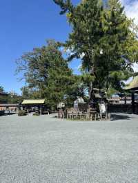 【熊本県・阿蘇】 2000年の歴史を誇る、阿蘇の総鎮守