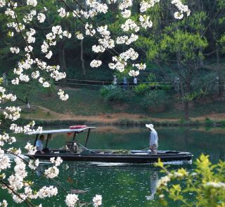 Pinpoint Wuguitan, Hangzhou, and take a ride on a traditional wooden boat to admire the changing colors of the forest and its reflections on the still, emerald water. 🛶