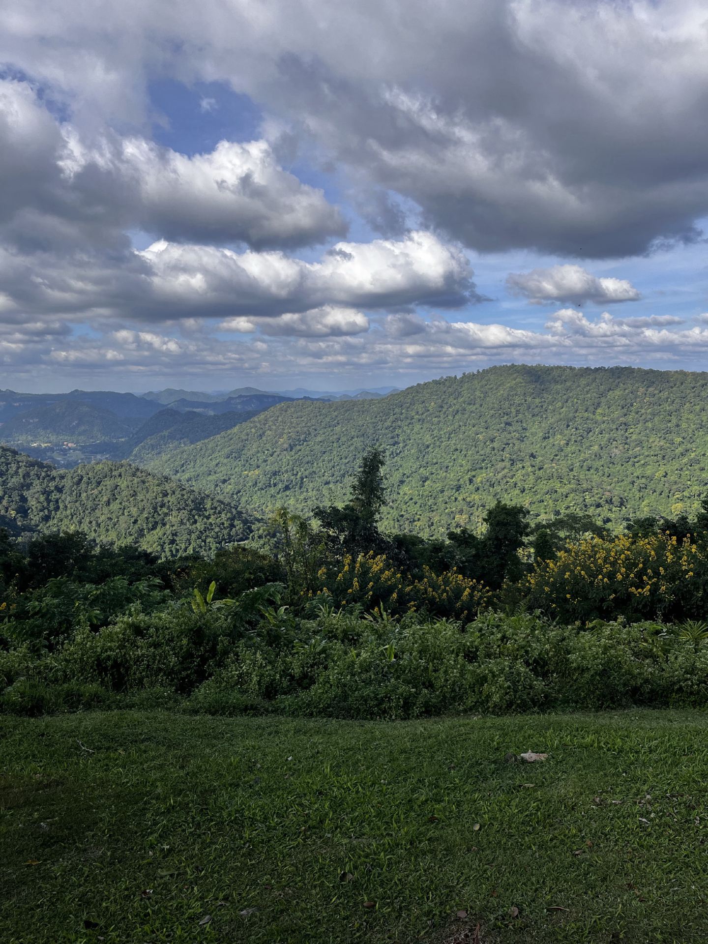 Khao Yai has beautiful nature and fresh air. Every visit is memorable. 💚📸