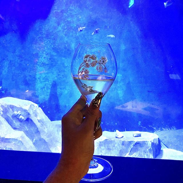 Dinner under the Sea! ✨ Dinner under the Sea! ✨