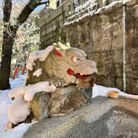 Snowy Kyoto