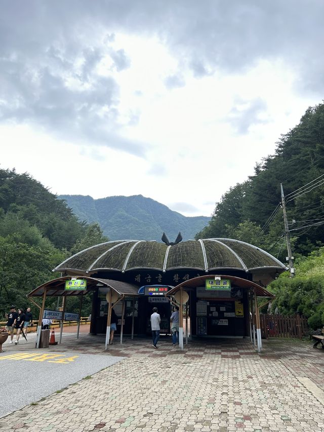 강원도 삼척 동굴 환선굴