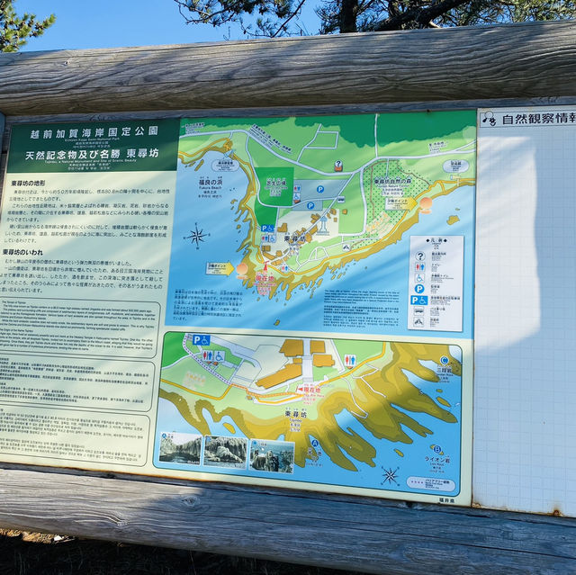 【福井県🇯🇵東尋坊】断崖絶壁がそそり立つ‼️福井の観光名所