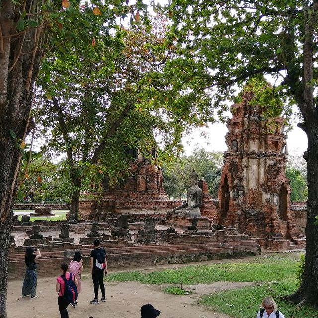 The stone Buddha Head In The Tree