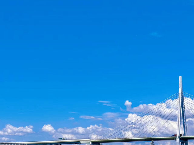 🎡天保山大摩天輪：大阪夜空中的浪漫之眼