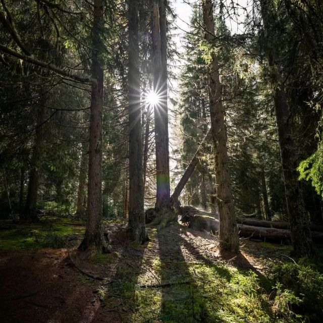 Swiss National Park