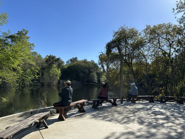 位於市區內佔地面積及大的自然公園