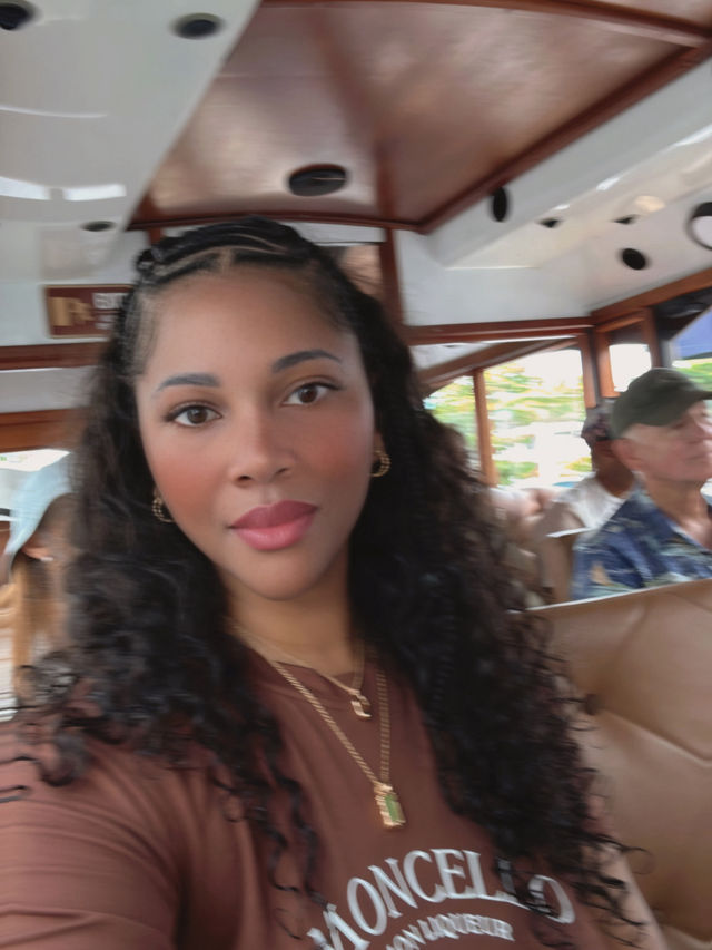 Baby, Let’s Cruise 🛳️