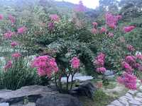 Fragrant hills