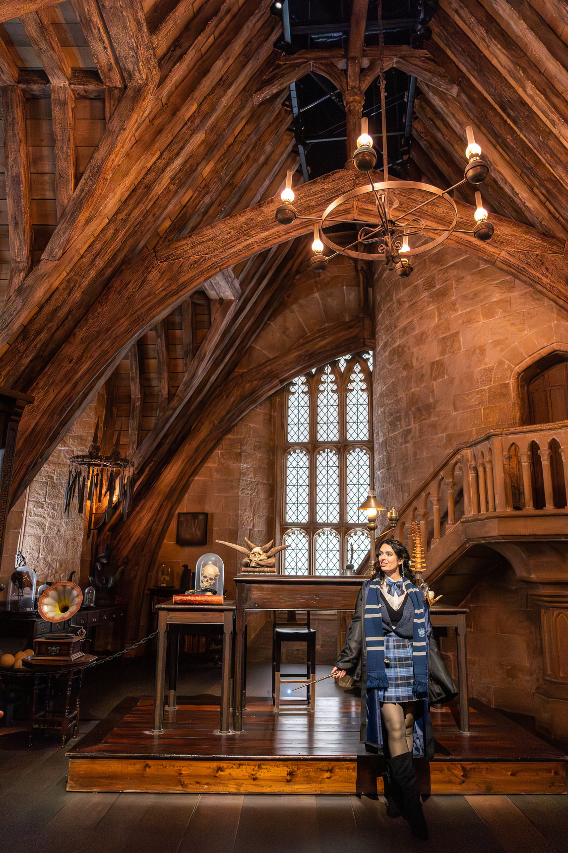 Hogwarts Classroom Sets, Privet Drive Stairs, Potions, a Dragon