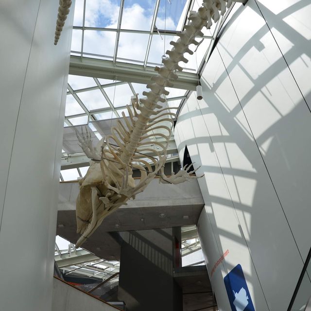 Ozeaneum…อควอเรียมสุดปังในเยอรมันเหนือ