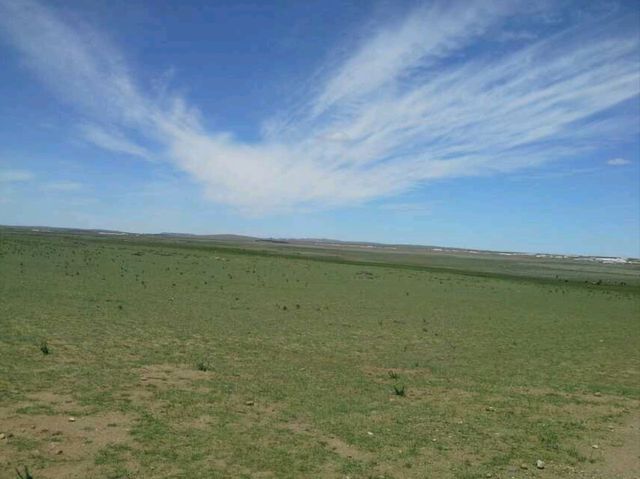 Mongolian Yurts in Xilamuren Grassland 🇨🇳