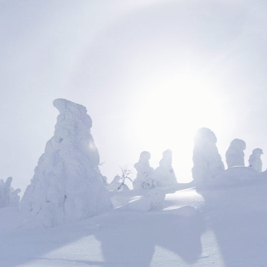 Ski with snowmonster in Zao, Japan