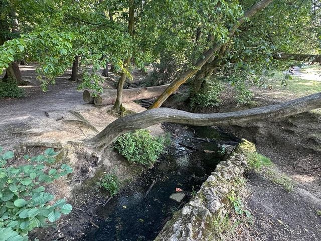 Grovelands Park London 🇬🇧