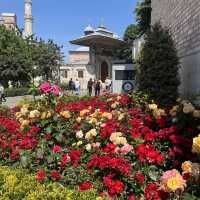 Istanbul: City of Roses, Palaces & Waterways
