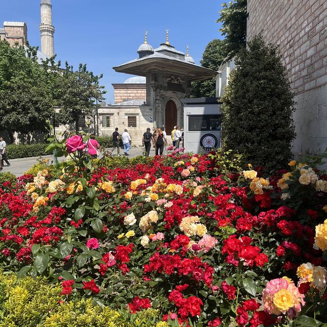 Istanbul: City of Roses, Palaces & Waterways