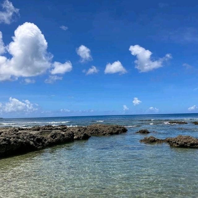 ✨️墾丁悠活渡假村✨️水上樂園🦌農村體驗⛱️