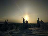 Mystical Aurora in Lapland Winter Wonderland