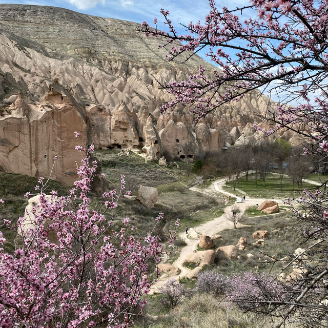 Cappadocia in spring 🌸