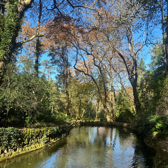 Stunning scenes in Sintra 