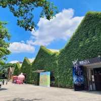 🪁華山1914文創園區🌺創意體現，生活美學的區域✨️
