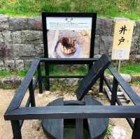 《箱根關所》🌸江戶時代的軍事檢查哨所🌸