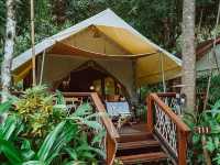 Hin Tok River camp 🏕️ 