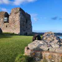 Aarhus: hidden gem of denmark!
