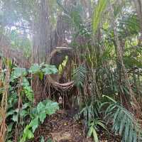 Trip Moments at Pattaya Elephant Village