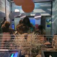 Cradle of humankind is a must vist