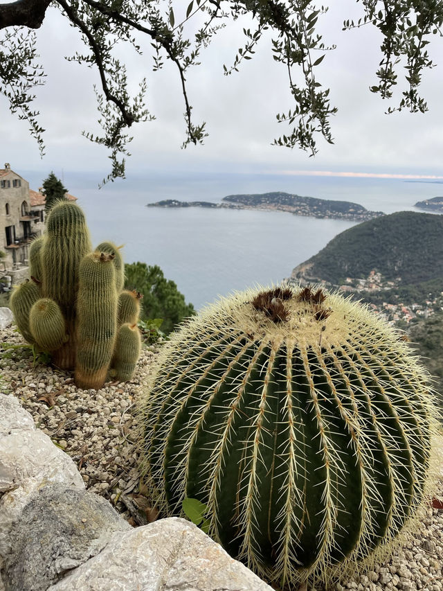 Èze Village 1-Day Itinerary 🇫🇷