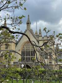 One Day in Westminster: London’s Iconic Landmarks & Hidden Gems