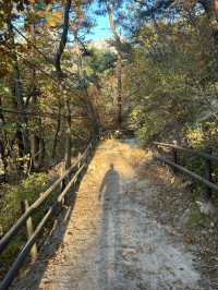 🍂⛰️ Autumn Hiking in Bukhansan: Seoul’s Mountain Escape