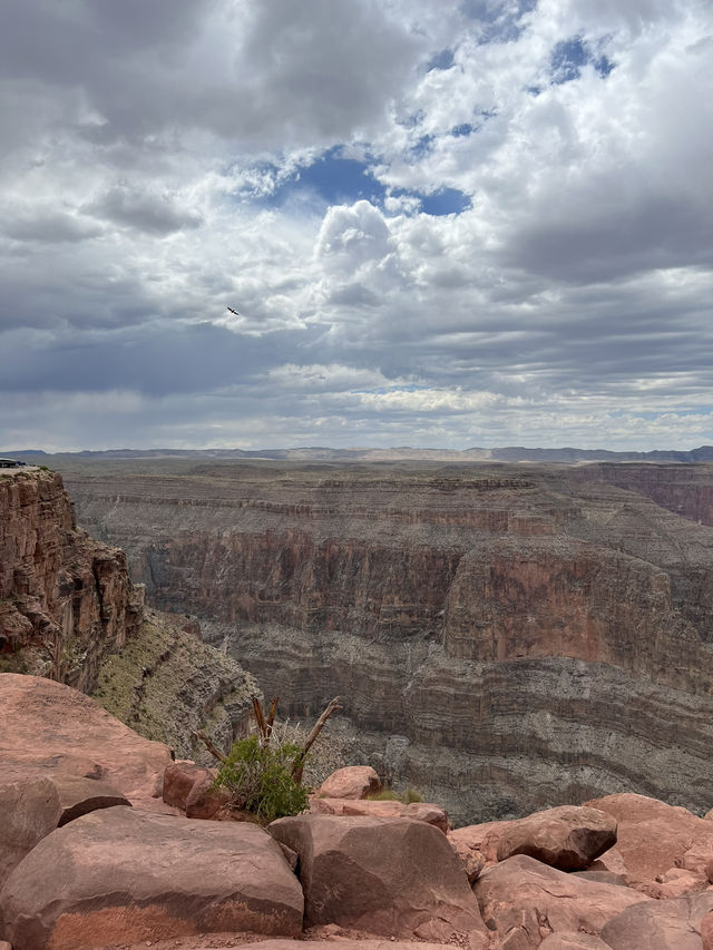 Grand Canyon 🤩🇺🇸