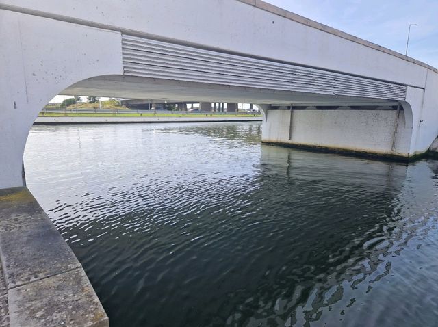 Aveiro the Magic River City