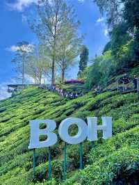 3 Days in Brinchang