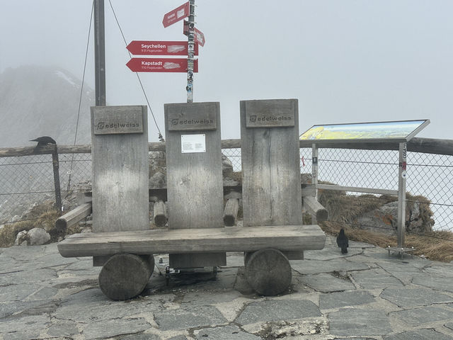 Above the Clouds: A Magical Stay at Pilatus Kulm