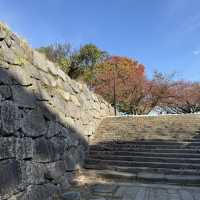 A Perfect Day in Fukuoka: Art, Gardens, Castle Views & Ramen Hits 