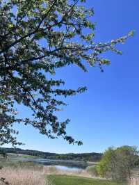 **Egglsee in Ebersberg：湖光森林裡的隱藏版療癒時光**  