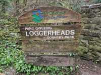 A great day out for the whole family. Loggerheads Country Park! 