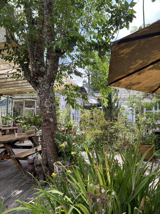 Cây Coffee & Cocktail hidden gem 💎 of Dalat 