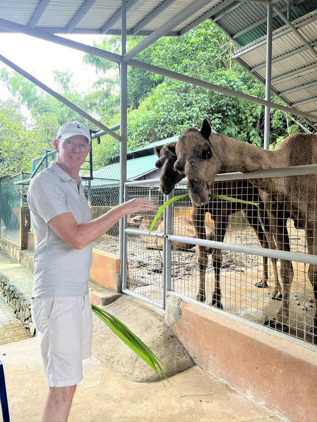 🦁🌿 Vigan Safari Adventure – Where the Wild Roars in the North! 🌿🦓
