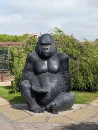 Monkey Haven Isle of Wight